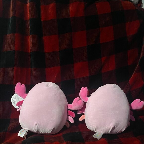 Cailey Pink Crab Squishmallow [ONE] - Picture 2 of 3
